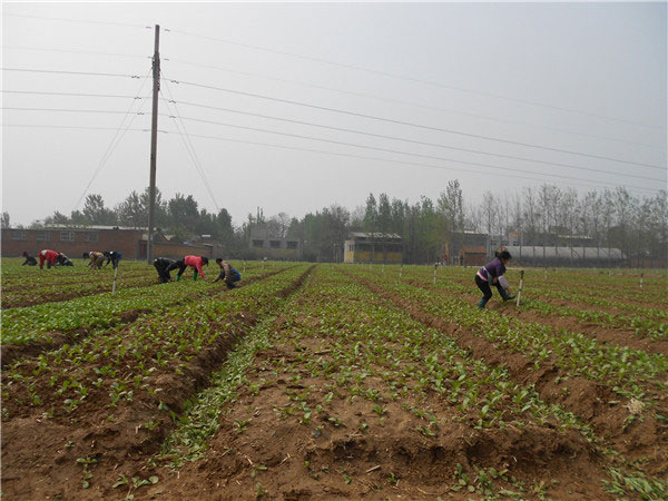土壤養分速測儀的速測方法是什么? 土壤養分速測儀的速測方法是什么?