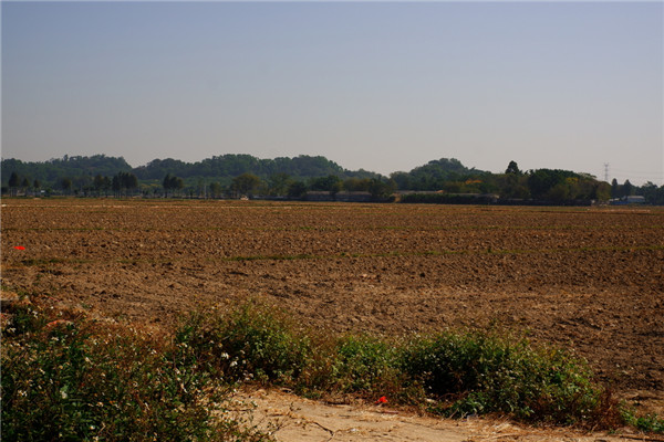 土壤水含量的變化對植物有哪些影響? 土壤水含量的變化對植物有哪些影響?