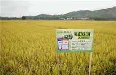 土壤墑情監(jiān)測(cè)系統(tǒng)的應(yīng)用效果怎么樣？