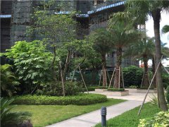 土壤水分速測儀在生態系統中的測定效果