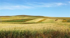 土壤墑情監(jiān)測(cè)站在農(nóng)田灌溉中的應(yīng)用