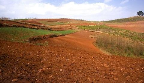 取樣方式不同對土壤墑情監測精度有影響嗎？