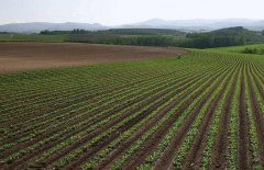 神經(jīng)網(wǎng)絡(luò)法能用于土壤墑情預(yù)測(cè)嗎？