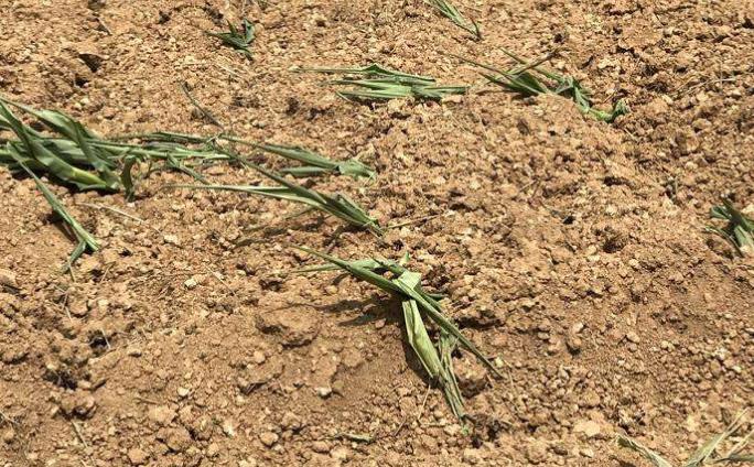 1598836235306919.jpg 360截圖20200831091022823.jpg