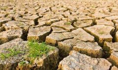 目測(cè)土壤墑情?