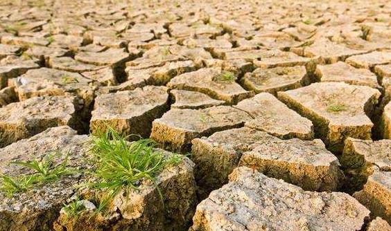 目測土壤墑情？